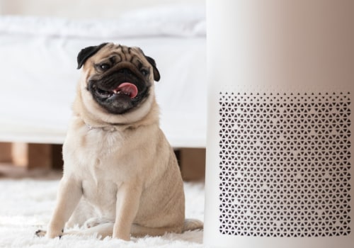 Does Brand Matter for Air Filters?